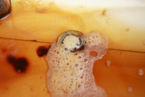 Drain Clearing